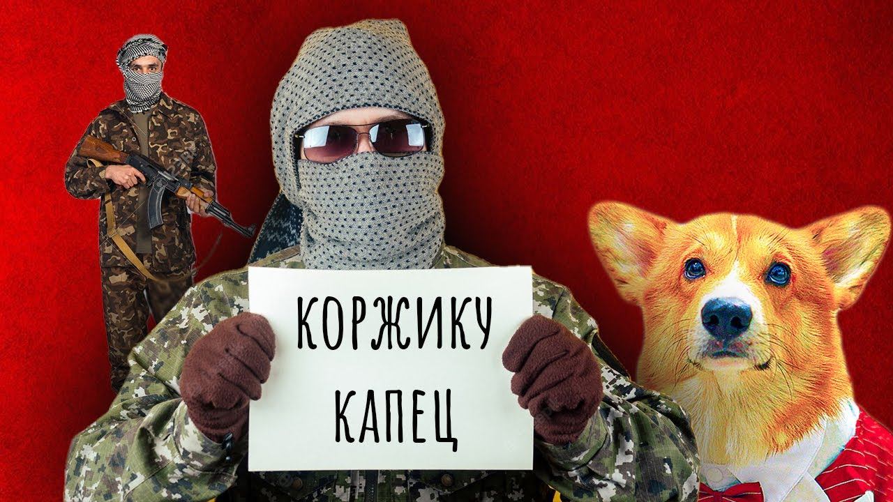 ТЕРРОРИСТЫ ХОТЯТ МЕНЯ ПОХИТИТЬ!! (Корги Коржик) Говорящая собака смотреть онлайн