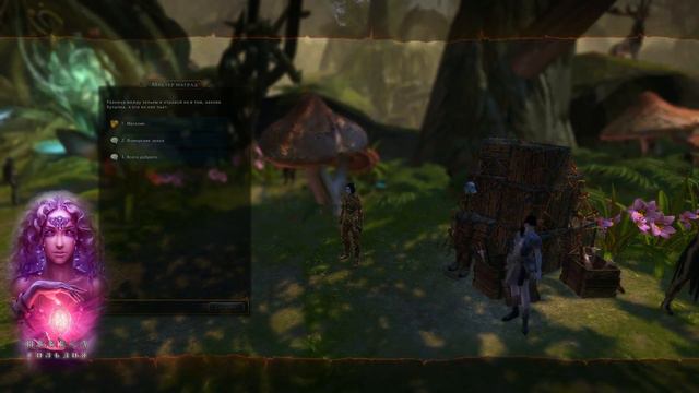 Neverwinter Online Гайд фарм волшебных и рунных камней X2 смотреть онлайн