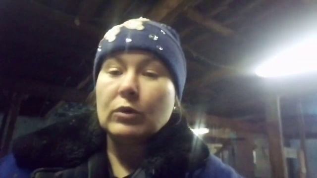 Корова. Считаем цикл. Петля на рога. смотреть онлайн