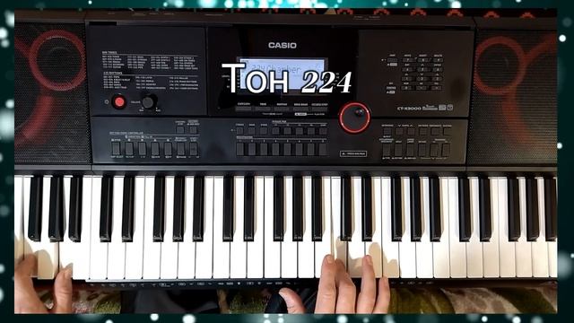 Демонстрация нового универсального стиля Пёс бродячий. Стиль для синтезатора Casio CT-X3000-5000. смотреть онлайн