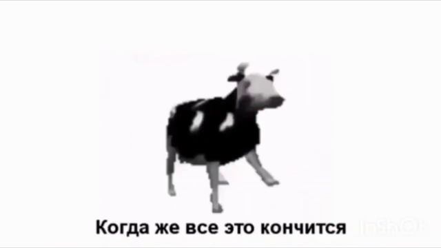 Польская корова танцует|[С Переводом на русский]| (POLSKIE TŁUMACZENIE) POLSKA KROWA TAŃCZY