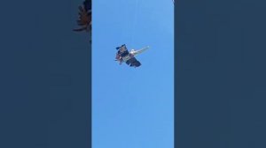 Пугало от птиц, своими руками.