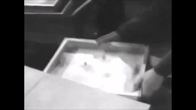 2020 год - год 80-летия Системы Профессионального Образования. Как все начиналось смотреть онлайн