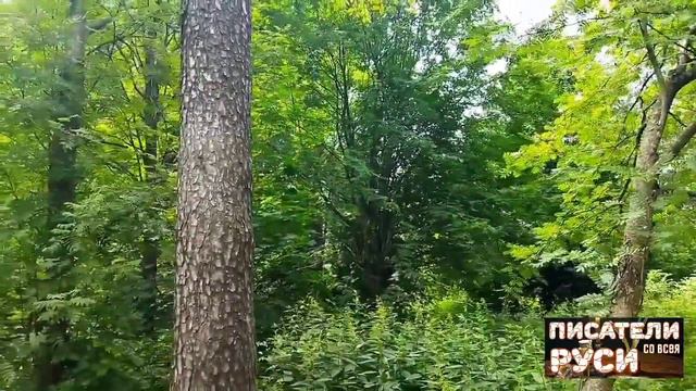 Познать значение Креста Христова Подымем наш собственный крест с полной верою Понесем его без ропот смотреть онлайн