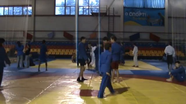 Educational and training seminar Milan Vuychich (Serbia) and Roman Karasev (Russia) смотреть онлайн