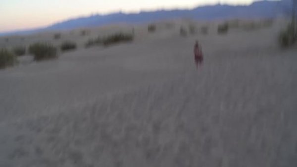 Mogli - Wanderer (Official Lyric Video - Expedition Happiness Soundtrack)