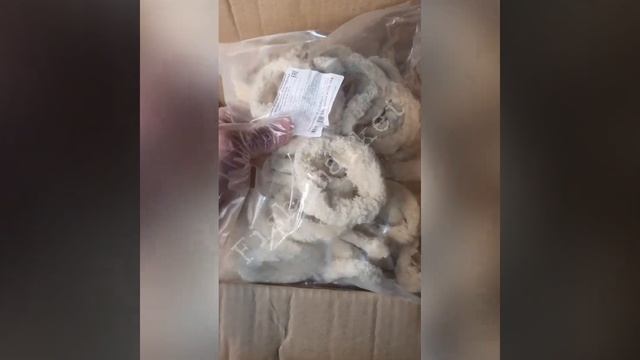 Кольца кальмаров смотреть онлайн