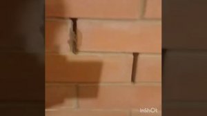 Заделываем трещины в печи