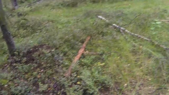 Slimcam C400 - первые впечатления