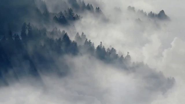 escape & Даня Милохин - So low (slowed+reverb+pitched) смотреть онлайн
