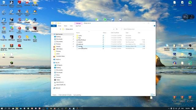 How To Install Baby Mode Plugins into your Minecraft Server! (1.16.1) смотреть онлайн