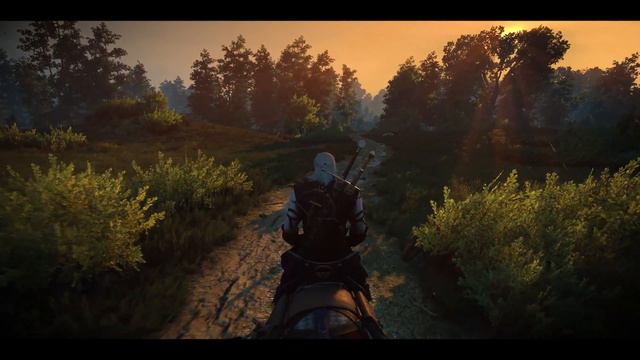 Violin Melody - 4k Photorealistic PC graphics Reshade - Ultra max settings- Witcher 3 The Wild Hunt смотреть онлайн