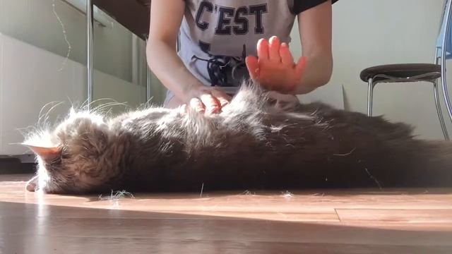 Как правильно выбивать пыль из ковра смотреть онлайн