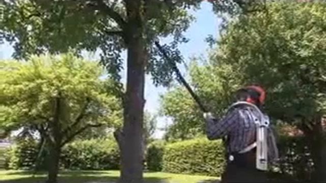 STIHL Rückentragsystem RTS HT