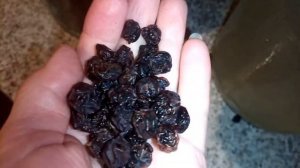 Квас из берёзового сока/Простой Рецепт Полезного и Вкусного Берёзового Кваса/KVASS RECIPE