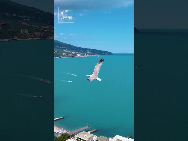 За что мы любим лето в Крыму? Отдых в Крыму 2023 смотреть онлайн