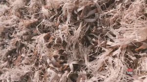 ?ПРОГЕРССИВНАЯ МАСКИРОВОЧНАЯ СЕТЬ ДЛЯ ОХОТЫ ✅Сетка 3х1.5 м с основой из пластика и лыка.