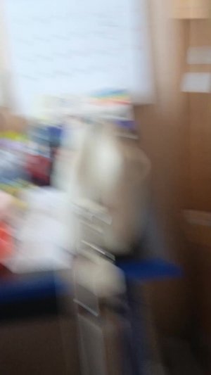 всё расскажу