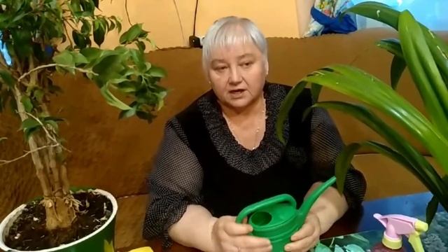 Занятие №5. "Уход за комнатными растениями". смотреть онлайн