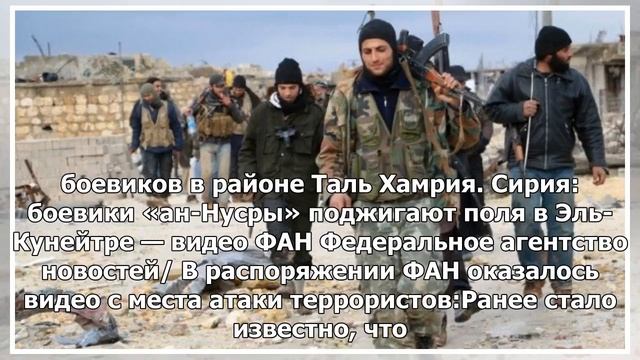 Сирия: боевики «ан-Нусра» подожгли поля в Эль-Кунейтре - видео FAN смотреть онлайн