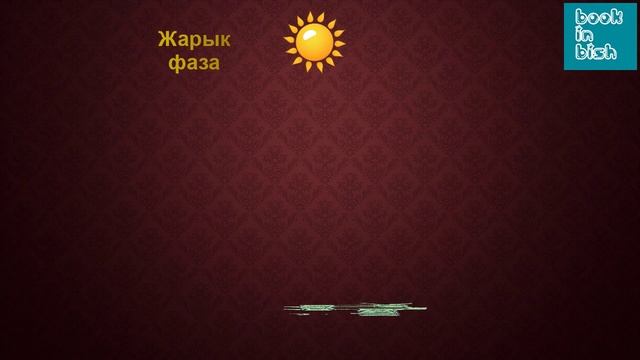 Photosynthesis | Educational Video