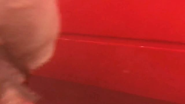 До/После .Интересный проект над Форд Транзит смотреть онлайн