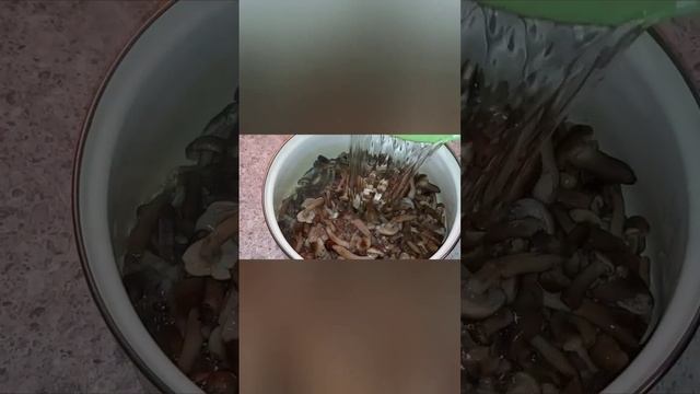 Соленые опята смотреть онлайн