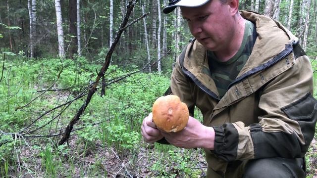 Грибы поперли!!! смотреть онлайн