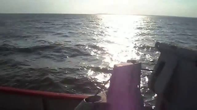 ПАРОМ КАМЕНКА-НИКОПОЛЬ,14.06.14 смотреть онлайн