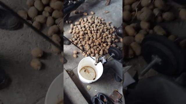 Змеи в погребе смотреть онлайн