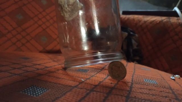 Как поймать мышь. Самый простой способ! смотреть онлайн