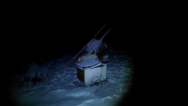 БУЛЬДОГИ МОРОЗЯТ ЯЙЦА ,А Я РУКИ ! \ BULLDOGS FREEZE EGGS, AND I HANDS ! смотреть онлайн