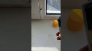 Снять старую пленку с подоконника самый простой способ