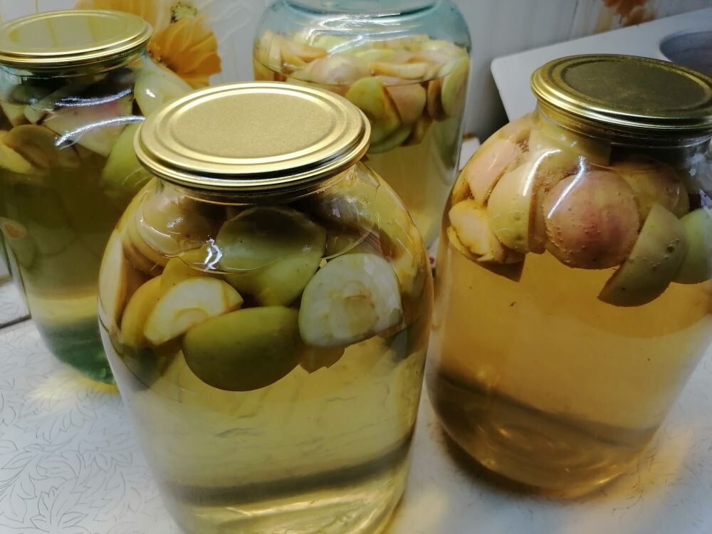 МАРИНА АНГЕЛИНА