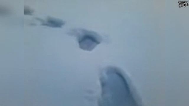 Снежный человек в Кемеровской области смотреть онлайн