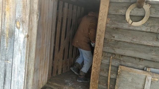 Играючи с задором - идем рожать мы хором // Кармал и вьетнамская свиноматки визуальное сравнение смотреть онлайн