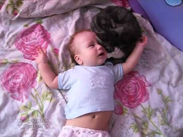 Сute Сat Soothing Crying Baby смотреть онлайн