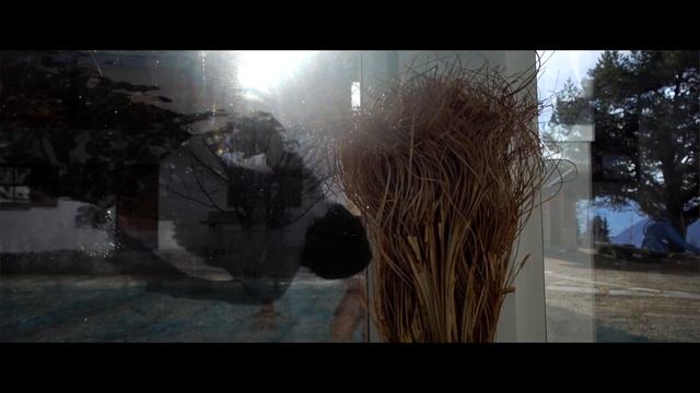 Sony RX100 V Video Test смотреть онлайн