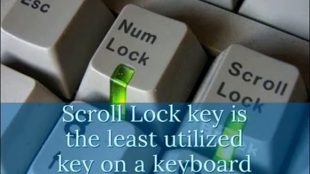 Fact of scroll lock key of computer смотреть онлайн