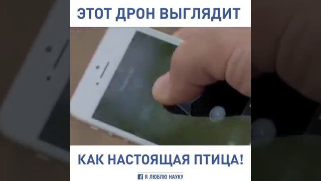 ОГО! Это же снитч из Гарри Поттера! смотреть онлайн