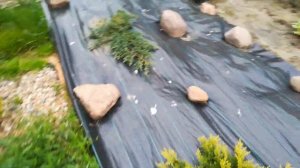 Как закрепить геотекстиль и агроткань к земле. Как избавиться от сорняков на клумбе.