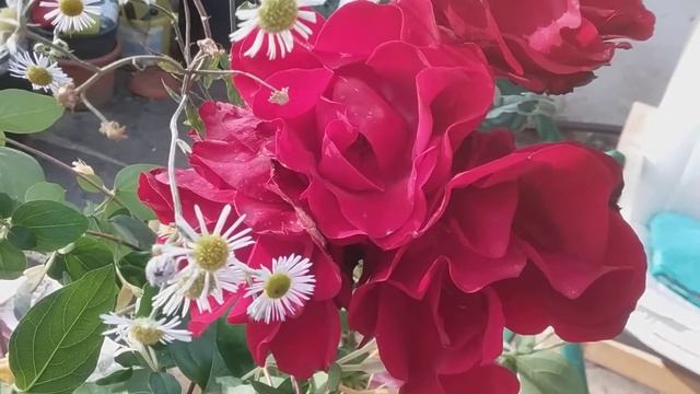 Как снизить сахар и почистить поджелудочную железу смотреть онлайн