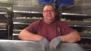 Брудер для перепелов своими руками. DIY, Do It Yourself