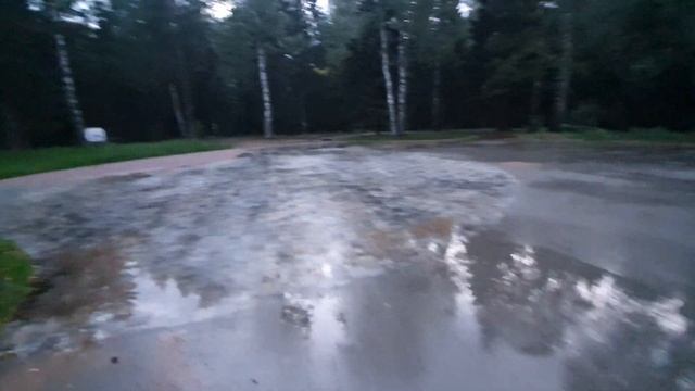 У водоема в Сертолово