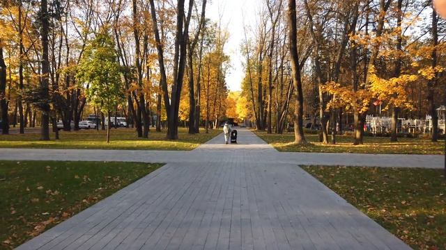 Прогулка по осеннему парку и причалам Северного речного вокзала смотреть онлайн