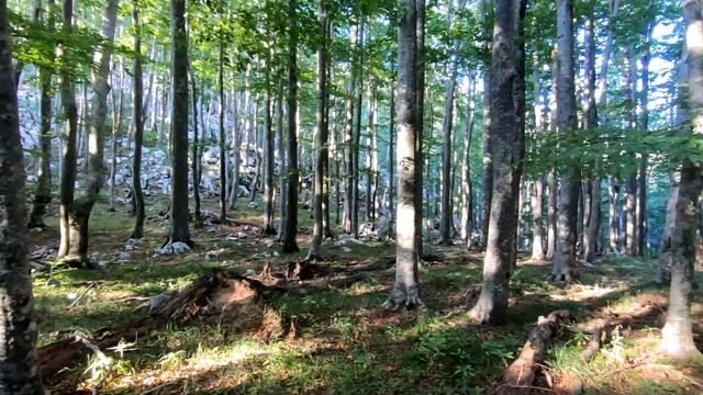 Hiking The Highlander Velebit, Croatia