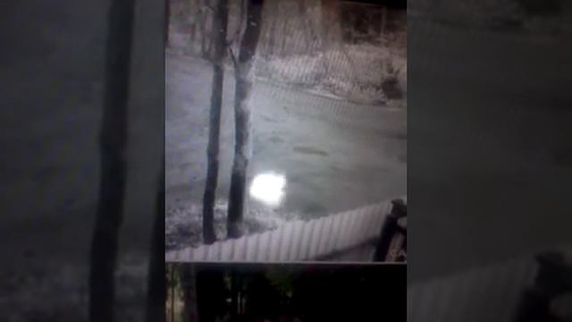 Камера засняла что то непонятное. смотреть онлайн