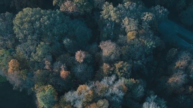 Философия осени смотреть онлайн