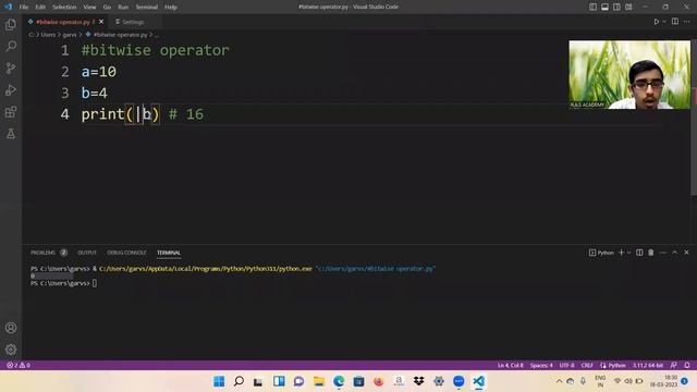 BITWISE OPERATORS IN PYTHON WITH NOTES смотреть онлайн