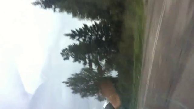 Клип. Лошади. Конюшня. смотреть онлайн